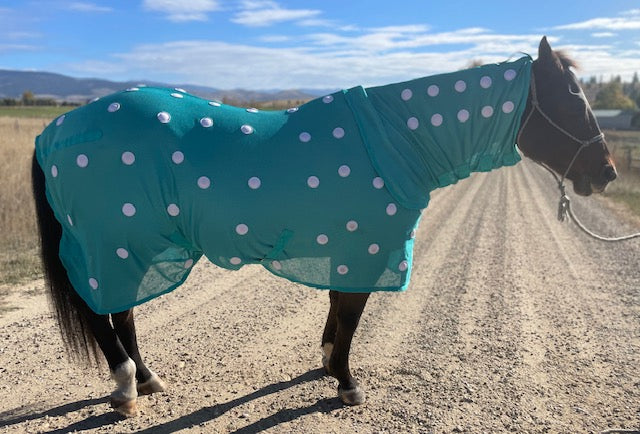 MC Equine Magnetic Blanket