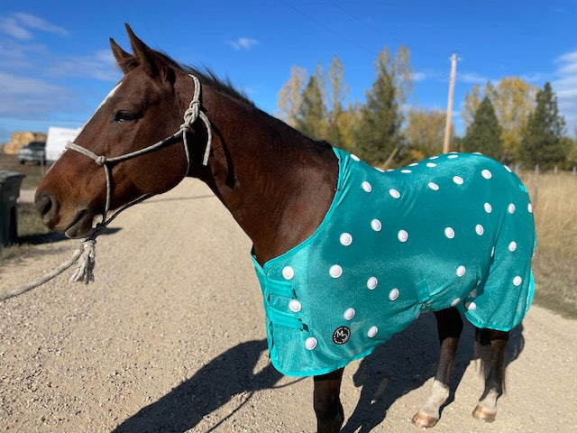 MC Equine Magnetic Blanket