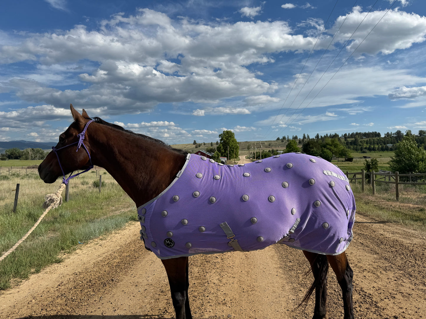 NEW!! MC Equine Magnetic Horse Blanket