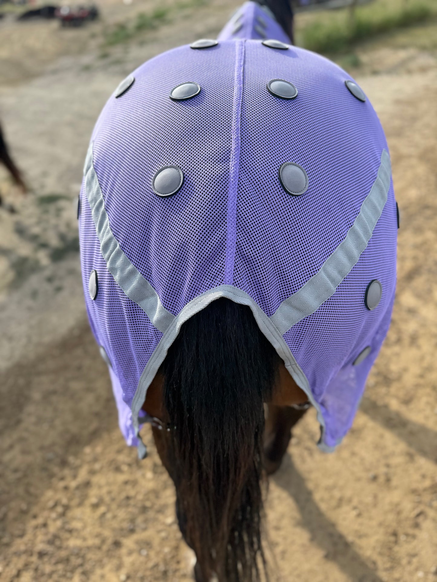 NEW!! MC Equine Magnetic Horse Blanket