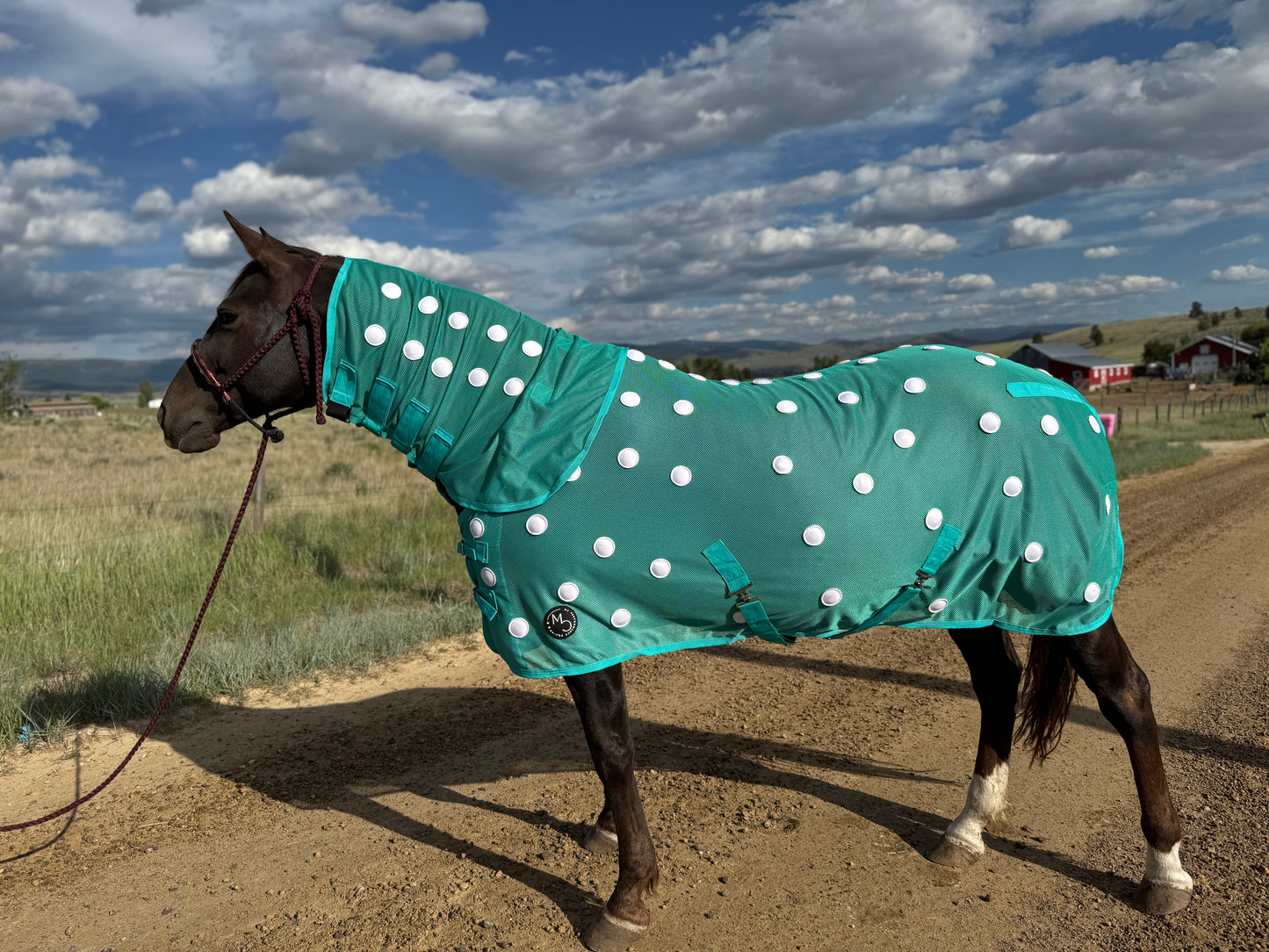 NEW!! MC Equine Magnetic Horse Blanket