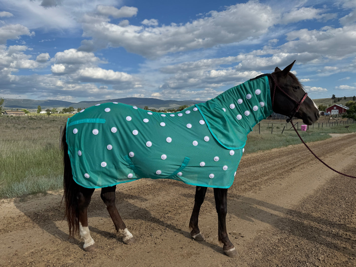 NEW!! MC Equine Magnetic Horse Blanket