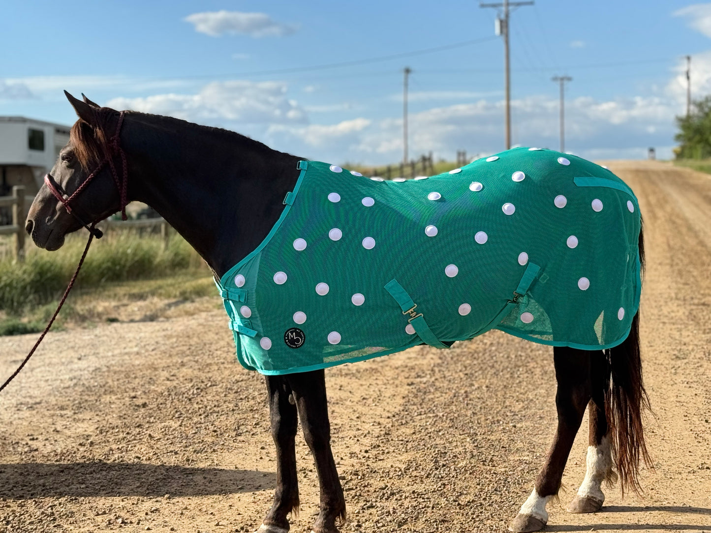 NEW!! MC Equine Magnetic Horse Blanket