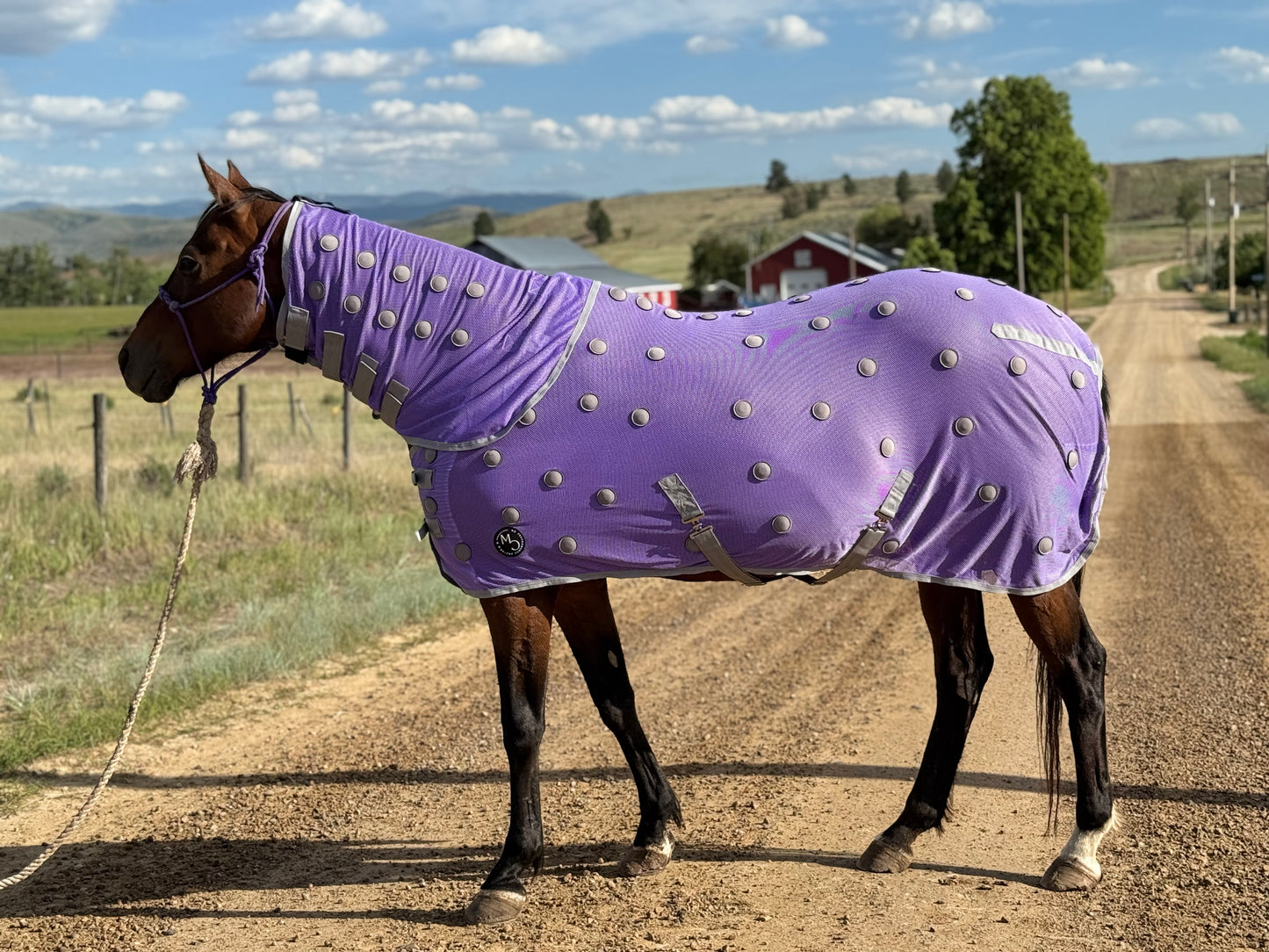 NEW!! MC Equine Magnetic Horse Blanket