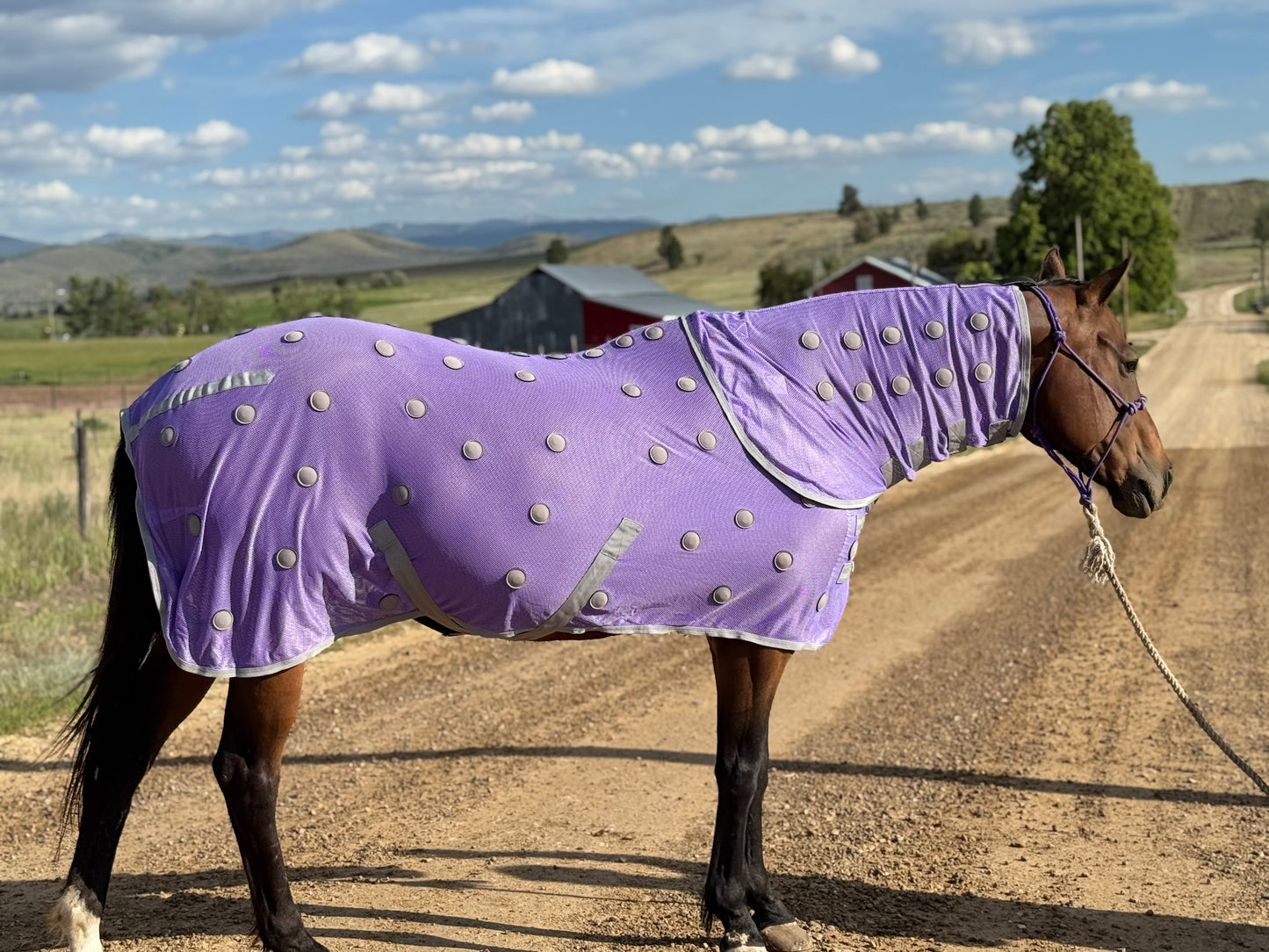 NEW!! MC Equine Magnetic Horse Blanket