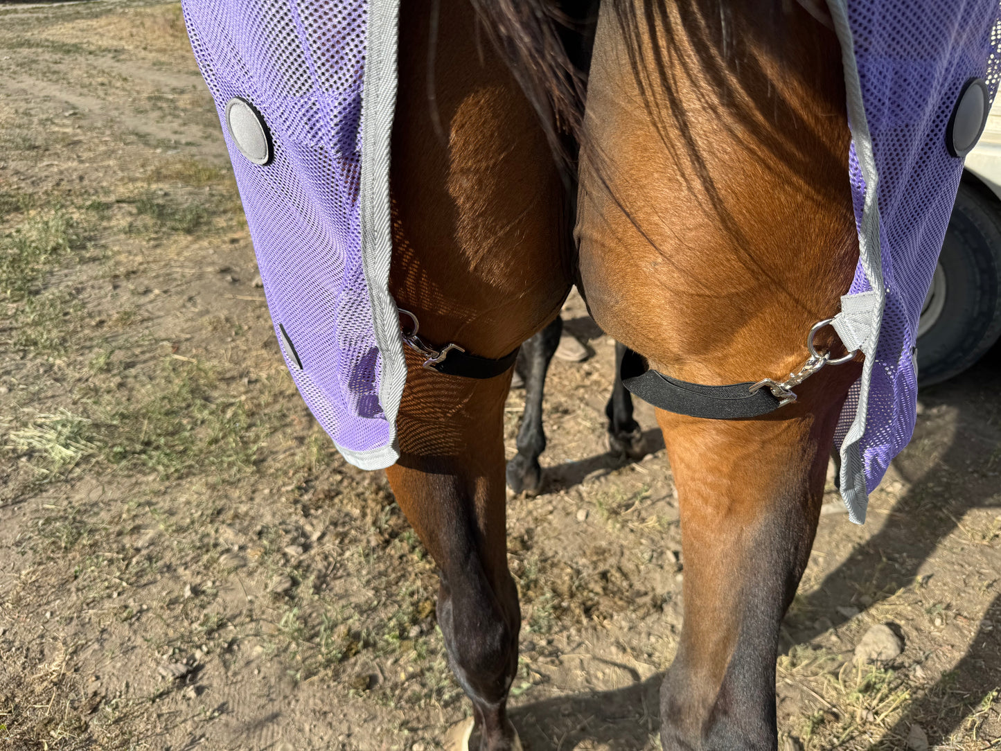 NEW!! MC Equine Magnetic Horse Blanket