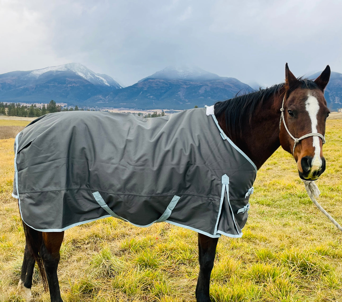 Winter Turnout Blanket