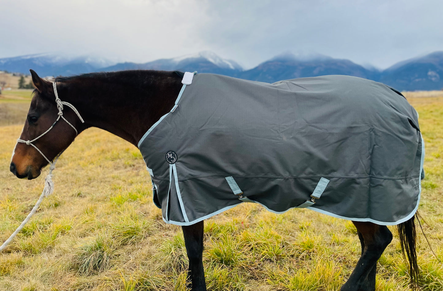 Winter Turnout Blanket