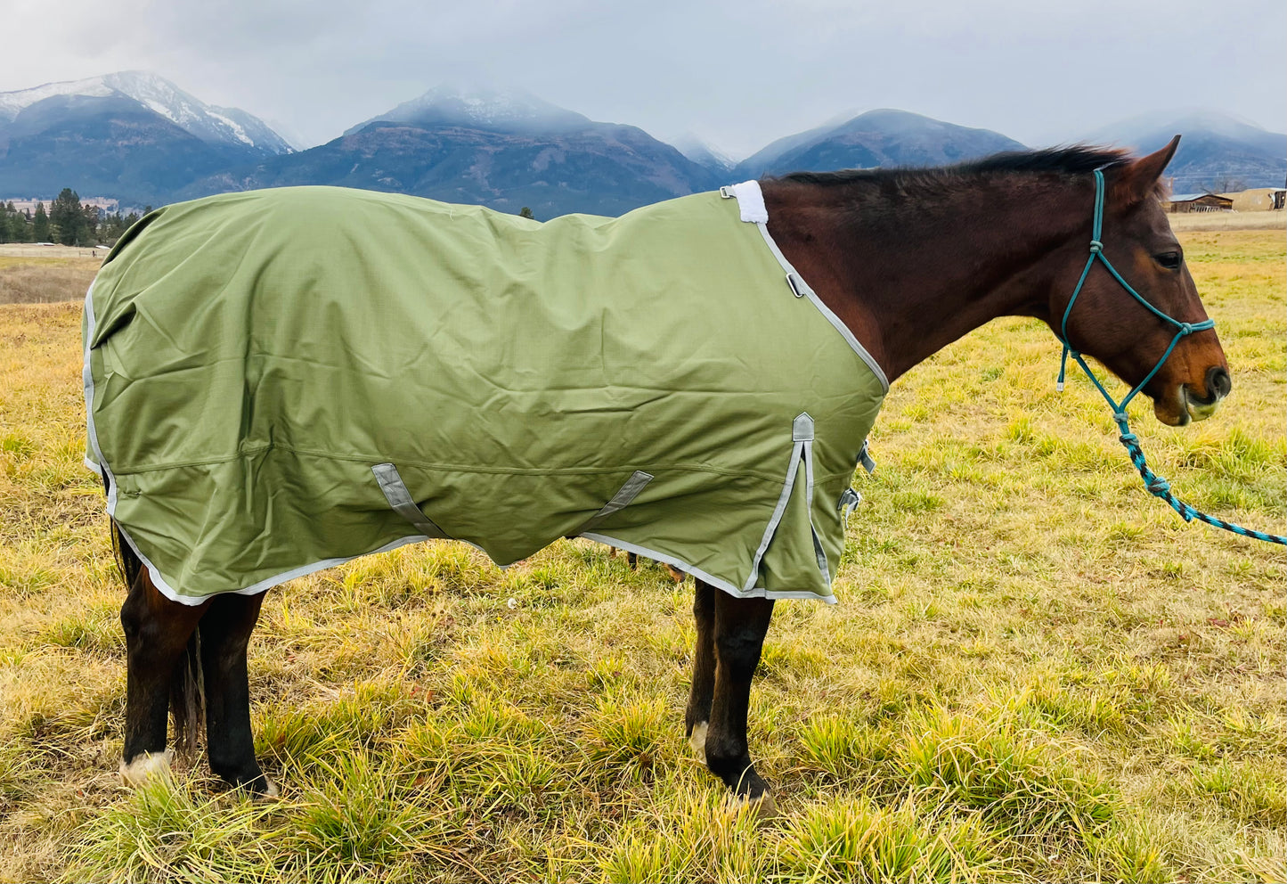 Winter Turnout Blanket