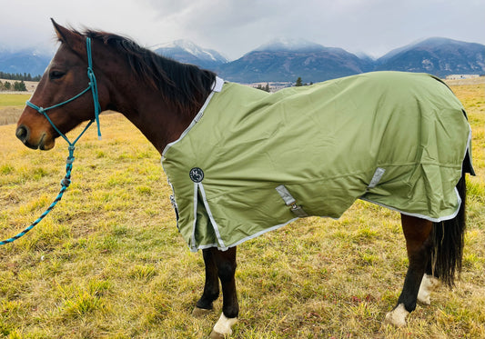 Winter Turnout Blanket