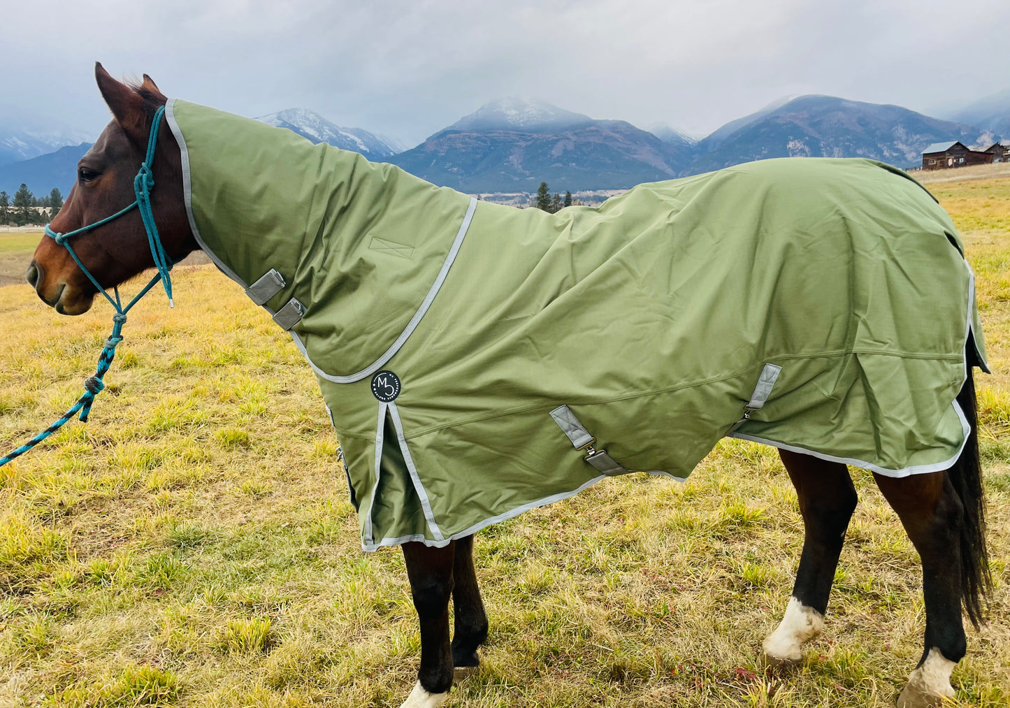 Winter Turnout Blanket