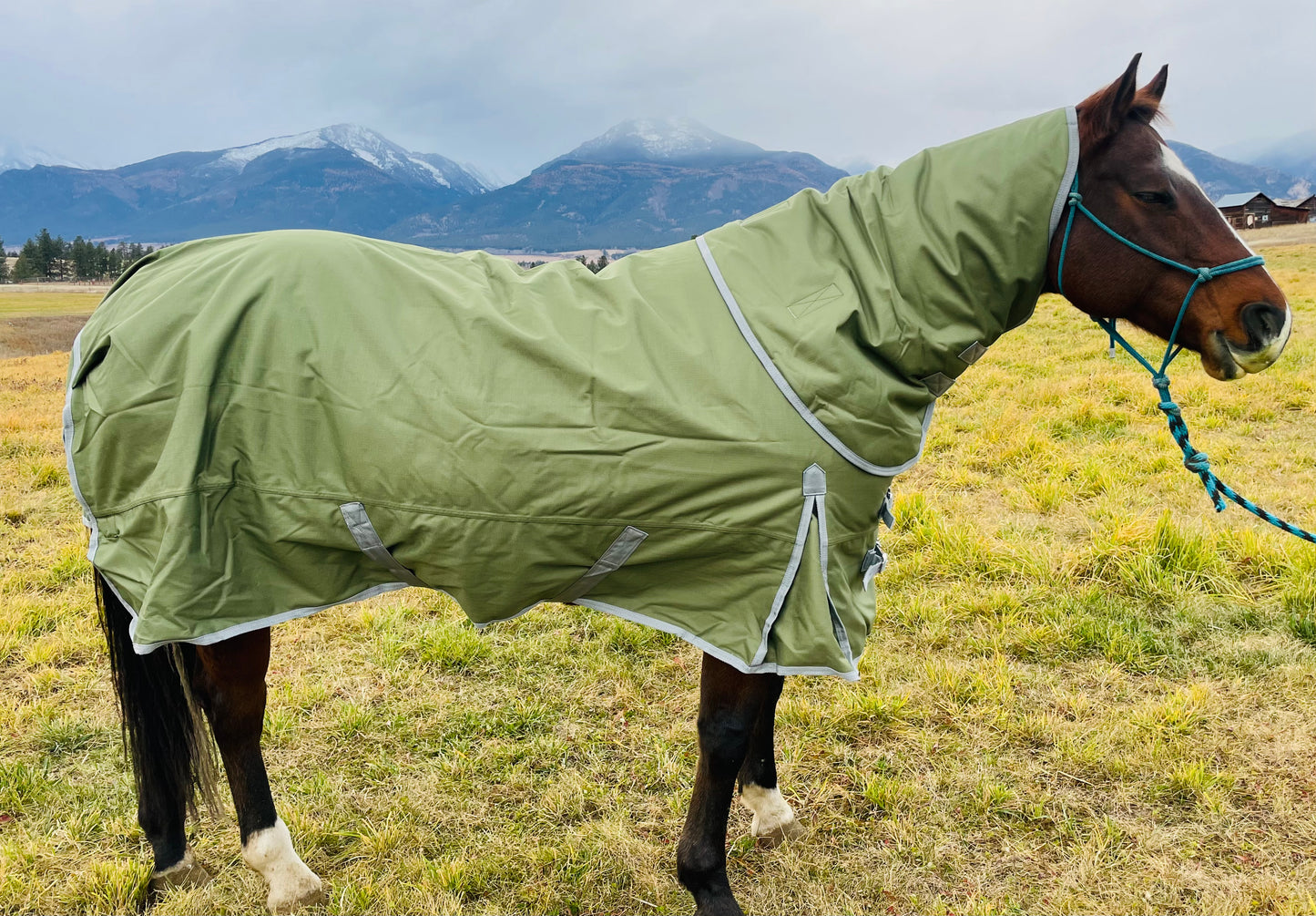 Winter Turnout Blanket