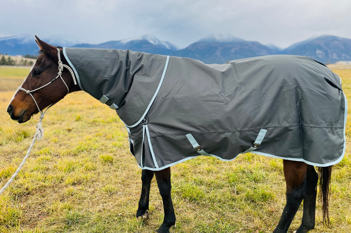 Winter Turnout Blanket