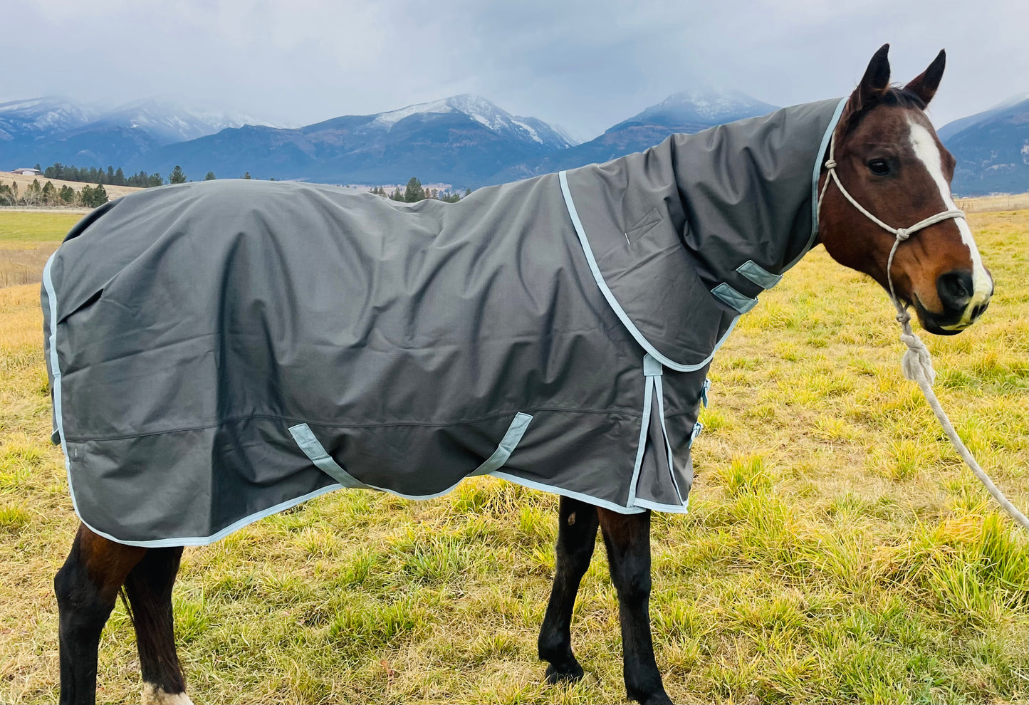 Winter Turnout Blanket